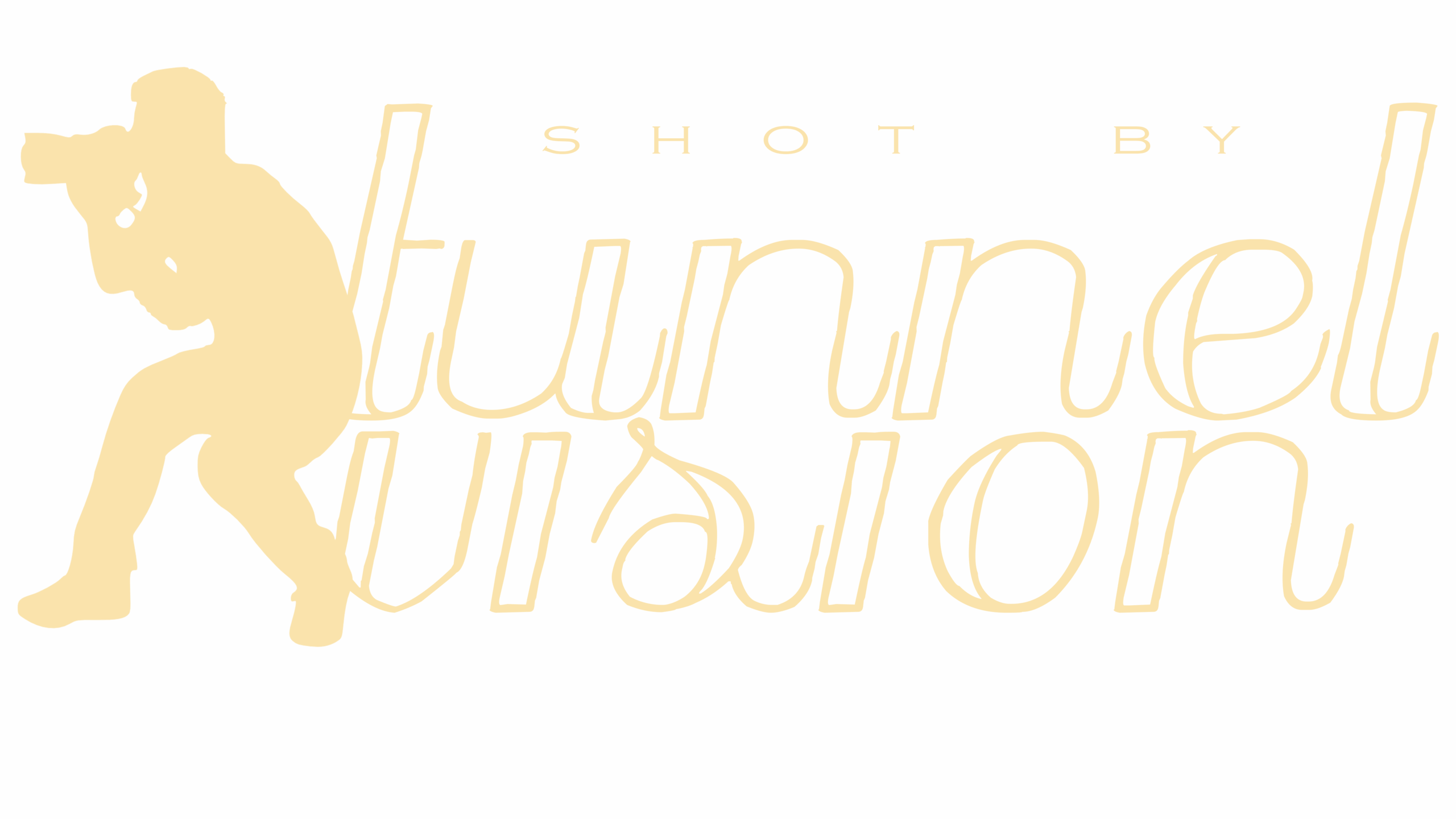 Shot by Tunnel Vision